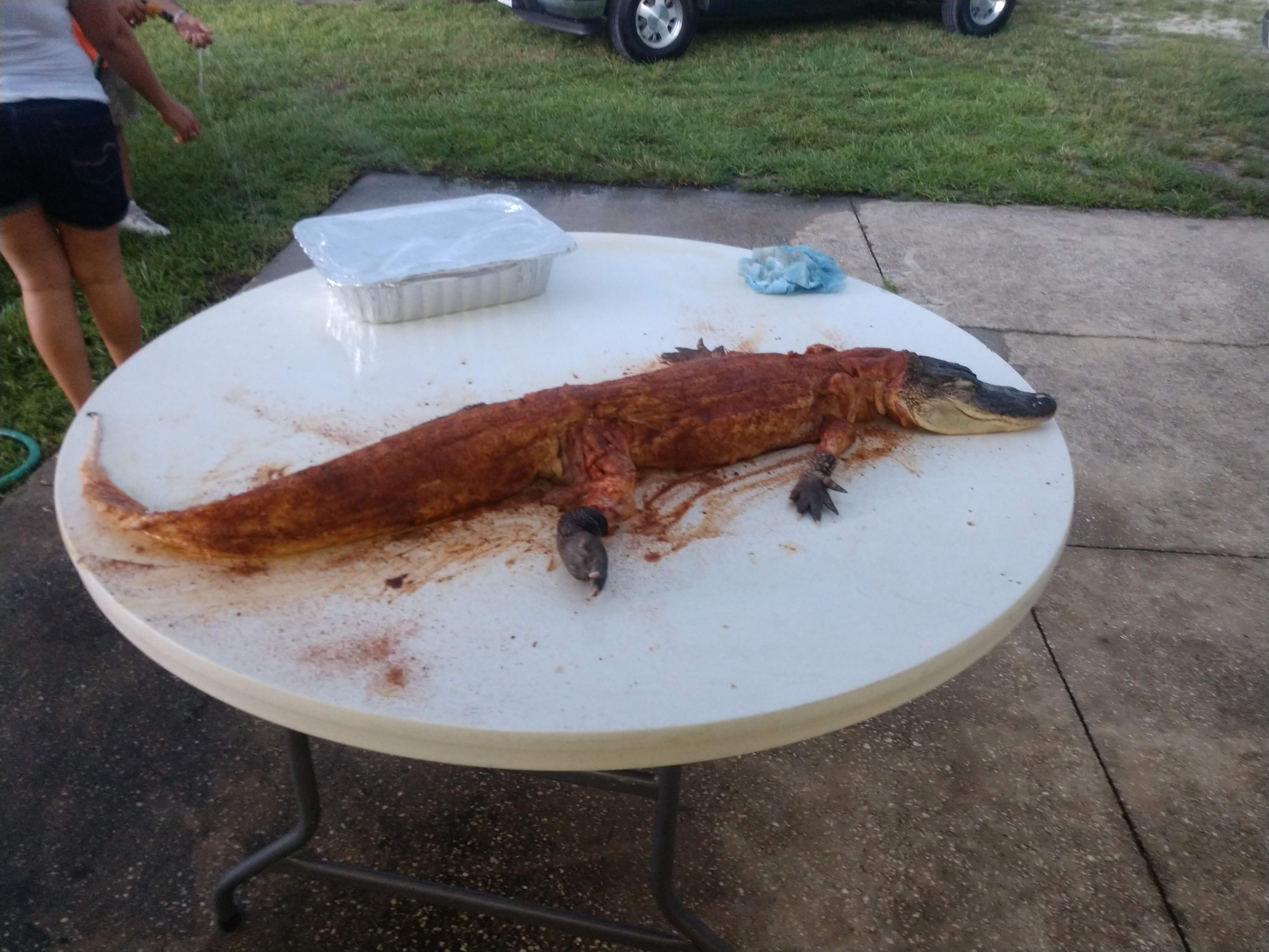 Whole Alligator Big Pops Fresh La Seafood